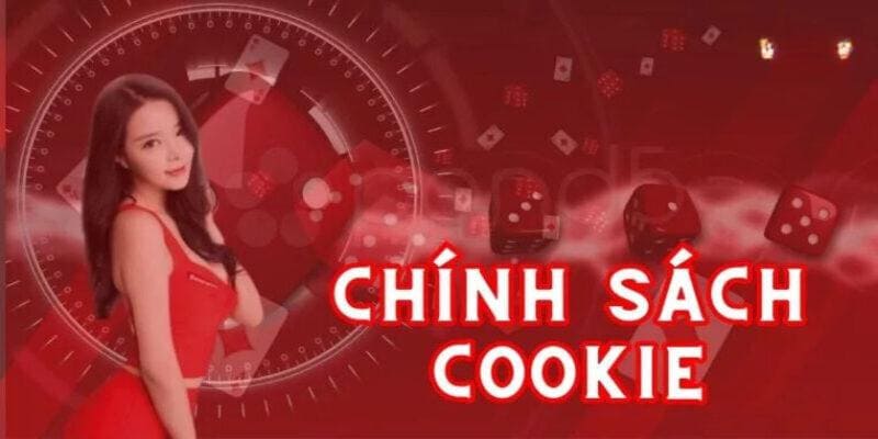 Cookie về thông tin khách hàng đều sẽ được quản lý chặt chẽ