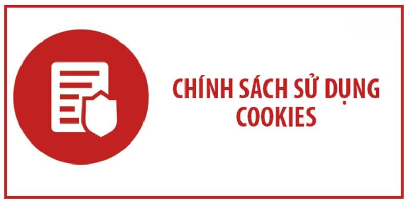 Cookie và chính sách cookie cần phải tìm hiểu