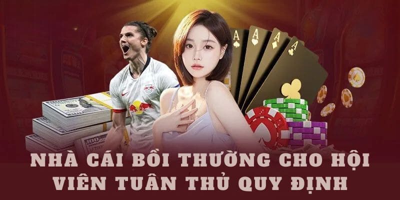 Nhà cái bồi thường thỏa đáng cho hội viên tuân thủ quy định